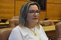 Deputada Janier anuncia que não disputará a reeleição 