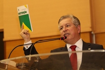 Decreto da posse de armas “empodera” a violência doméstica e familiar