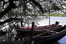 Plano de Manejo do Parque Poxim representa importante avanço na política ambiental de Aracaju