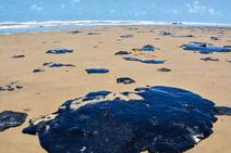 Quem pagará pela morte do mar e dos seus seres?