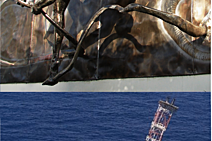 Tragédia da P-36: os 22 anos de uma dor que nunca cessa