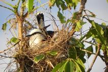 Dois mil cento e um quilômetros e setecentos metros: relato de uma mãe abraçada com a saudade