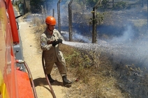 Mais de 1,5 mil chamados para combate de incêndios em vegetação são registrados pelos Bombeiros
