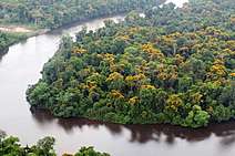 A questão ambiental é sobre cada um de nós