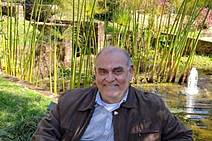 Tentando traduzir independência