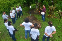 Secretaria de Agricultura capacita turma em Fitoterapia 