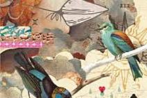  A língua dos pássaros, de Gigia Talarico, e reflexões afins (I)