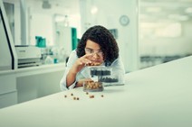 Como um caroço de açaí pode ajudar a construir casas?