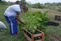Horta orgânica transforma espaço de escola municipal em Socorro 