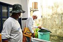 Saúde alerta sobre as medidas preventivas de combate ao mosquito Aedes Aegypti