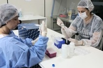 Governo do Estado confirma mais um caso de coronavírus