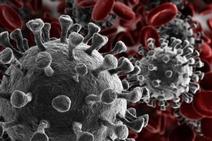 Qual a assistência a comunidades tradicionais durante a pandemia?