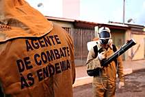 Prefeitura orienta população a combater o mosquito da dengue; em Aracaju, 75% dos focos estão nas residências