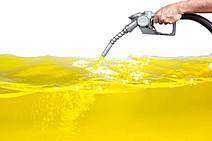 Fé em deus e pé na tábua