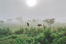 Águas: emoção e esperança