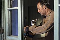 Amizade e natureza: uma jornada encantadora em “Meu Amigo Pinguim”