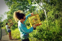  FPI solta 277 aves na Mata do Junco 