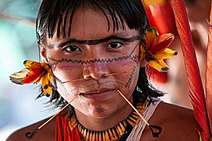 Os Anjos de Mercúrio e seus rastros de morte