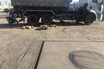 Vereador de Simão Dias denuncia abandono de animais pela cidade