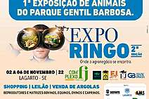  ExpoRingo 2022 ocorrerá de 2 a 6 de novembro em Lagarto 