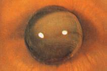 É 1973, e a música do Brasil se consolida como Música Popular Brasileira