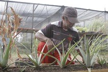 Secretaria Municipal de Agricultura, Irrigação e pesca apresenta balanço das ações de 2018