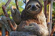 Uma mulher muito rica e tão alheia quanto ricaça: simples assim!