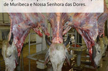 FPI/SE: 4ª etapa da fiscalização começa nesta segunda-feira