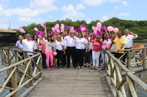 Creci Sergipe reúne corretores em caminhada pelo Outubro Rosa