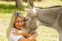 Ex-líder da oposição, Kitty Lima é nomeada superintendente de Proteção Animal no Governo de Mitidieri