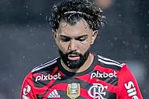 Zico, Gabigol e a falta de siso!