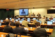 Comissão aprova relatório que responsabiliza Governo Bolsonaro por falta de ação